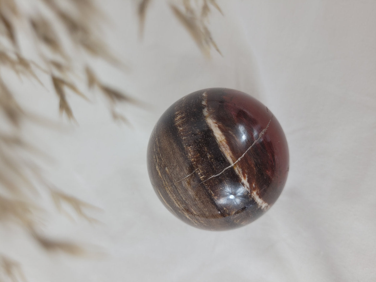 🤎Versteinertes Holz fördert ✨Wachstum, Stabilität u.🩷Selbstfindung