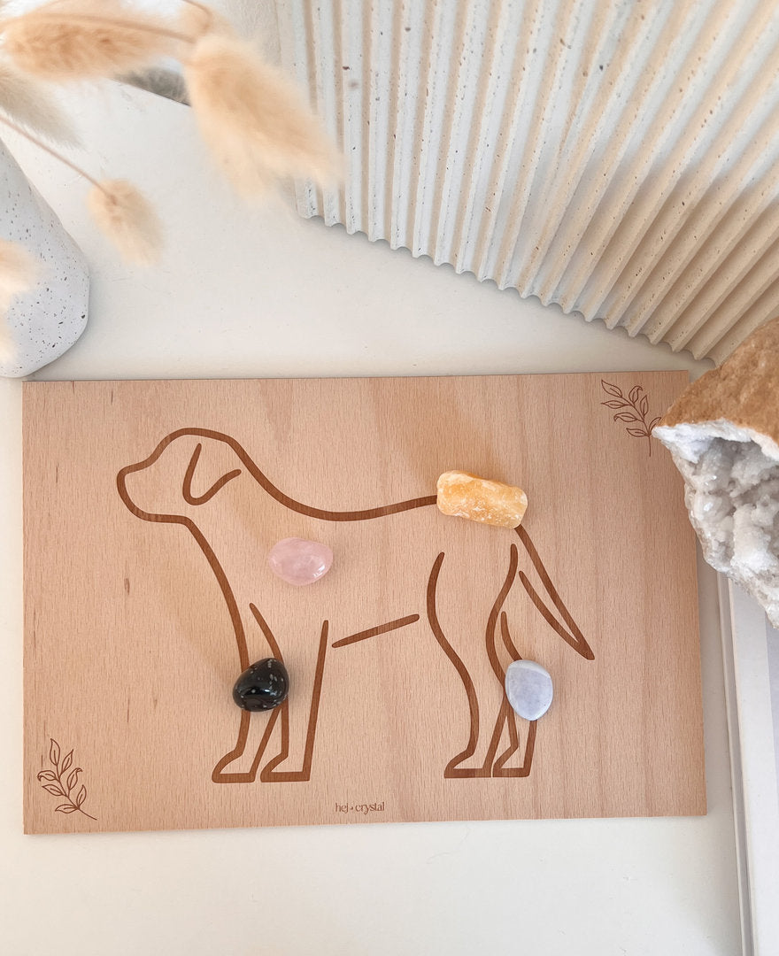 Buchenholzbrett "Hund" für Energiearbeit