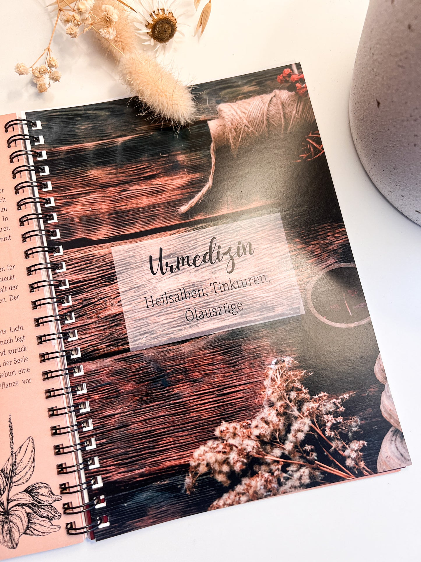 Buch: Zauber der Wild- & Heilkräuter von Anne Krüger