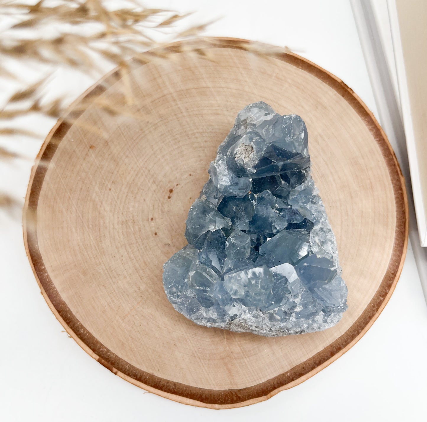 Coelestin 💫Stufe für deine Spiritualität ✨