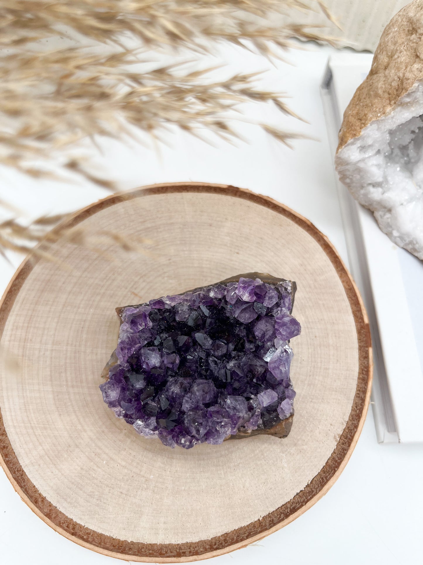Schöne, dunkle 💜Amethyst Stufe aus Uruguay 🌟