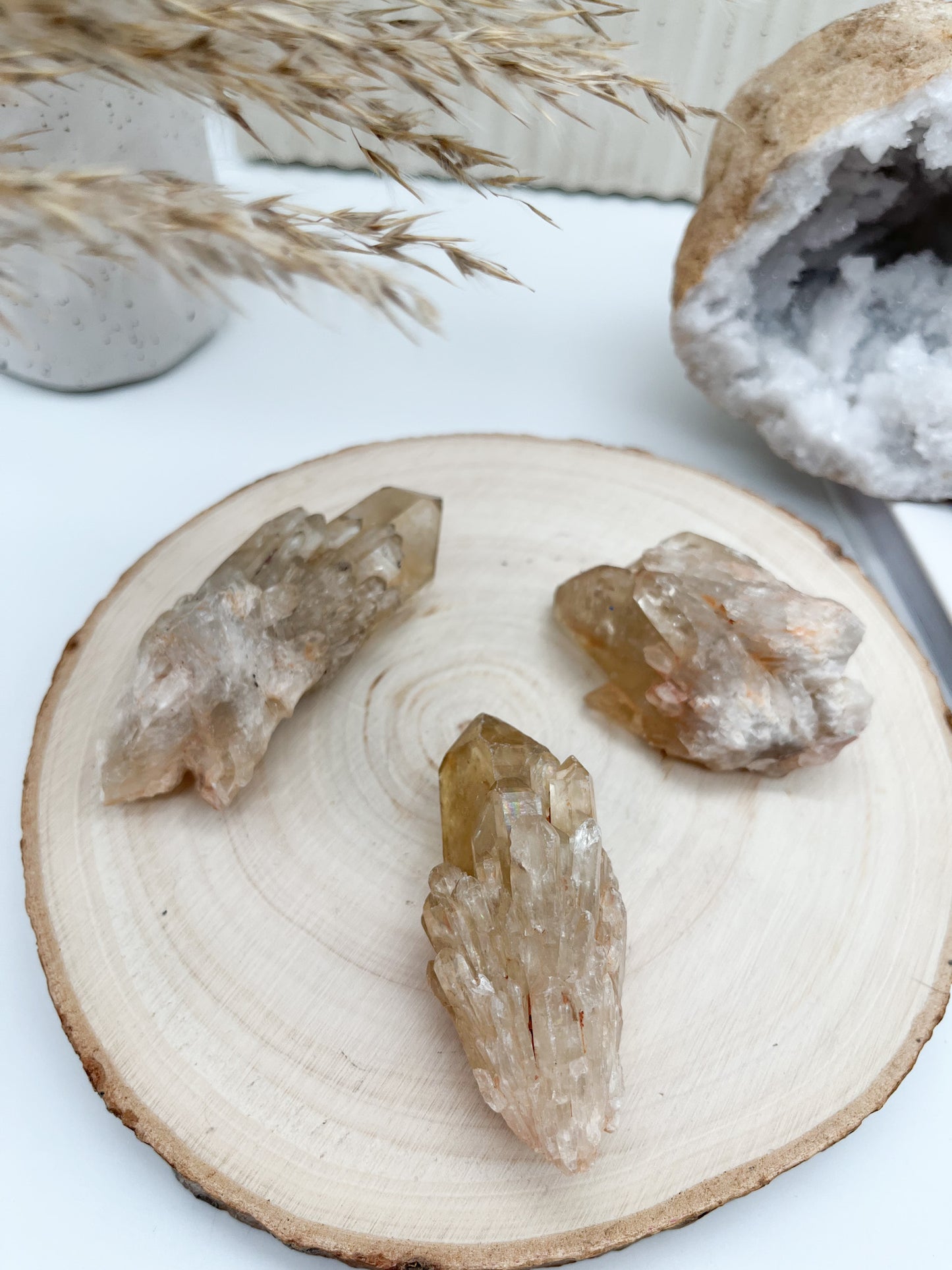 💫Natur Citrin Stufe "Kundalini" für🪙Wohlstand, Glück🍀und Erfolg🔝
