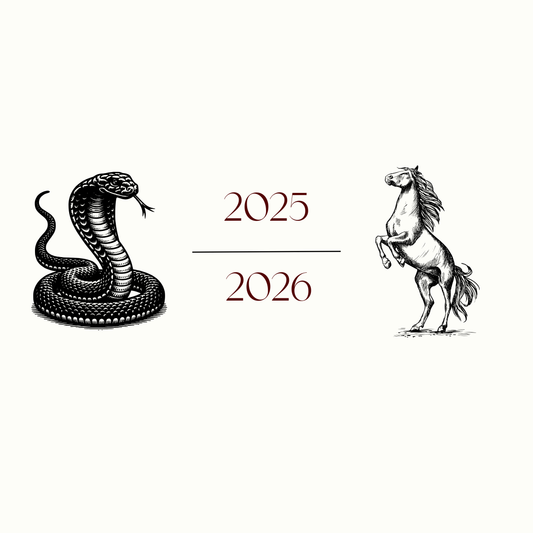Jahr der Schlange 2025 & Jahr des Pferdes 2026 – Bedeutung & Heilsteine