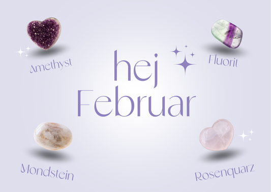 Deine steinigen Begleiter im Februar