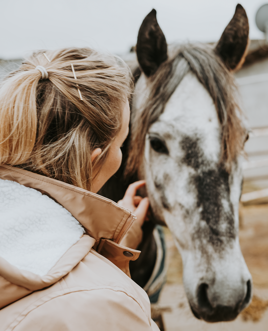 Tierkommunikation (Online)