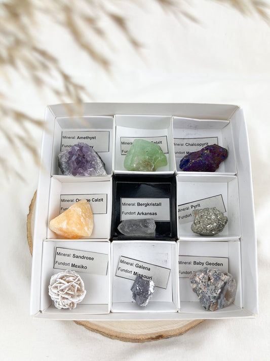 Tolle Mineralien-Sammlerbox mit neun verschiedenen Mineralien