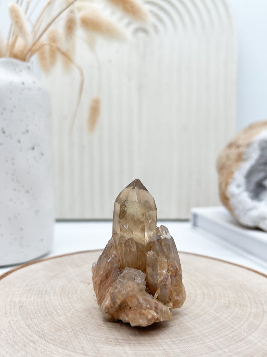 ✨Natur Citrin Stufe " Kundalini"🐍