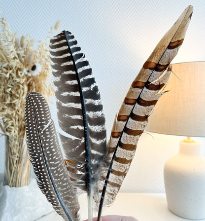 Schöne Räucherfedern 🪶🪶für dein Räucherritual ♨️, verschiedene Ausführungen