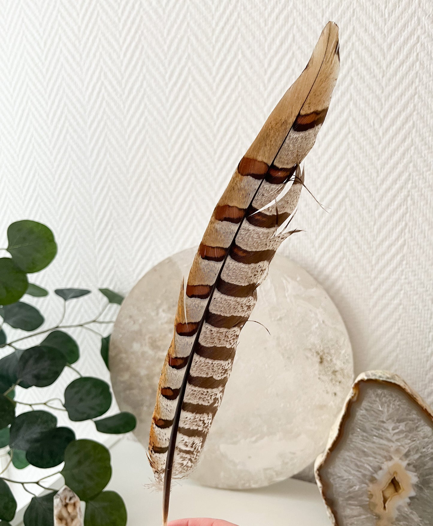 Schöne Räucherfedern 🪶🪶für dein Räucherritual ♨️, verschiedene Ausführungen