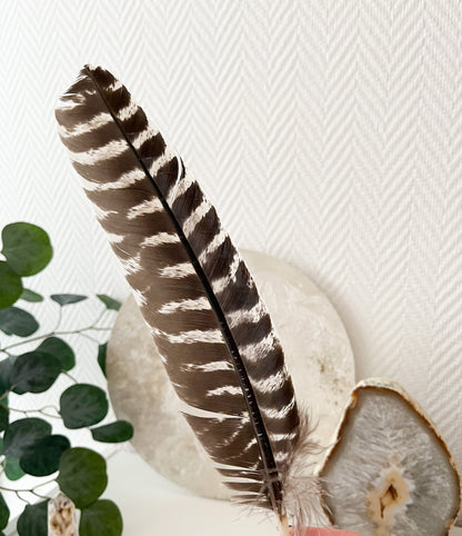 Schöne Räucherfedern 🪶🪶für dein Räucherritual ♨️, verschiedene Ausführungen