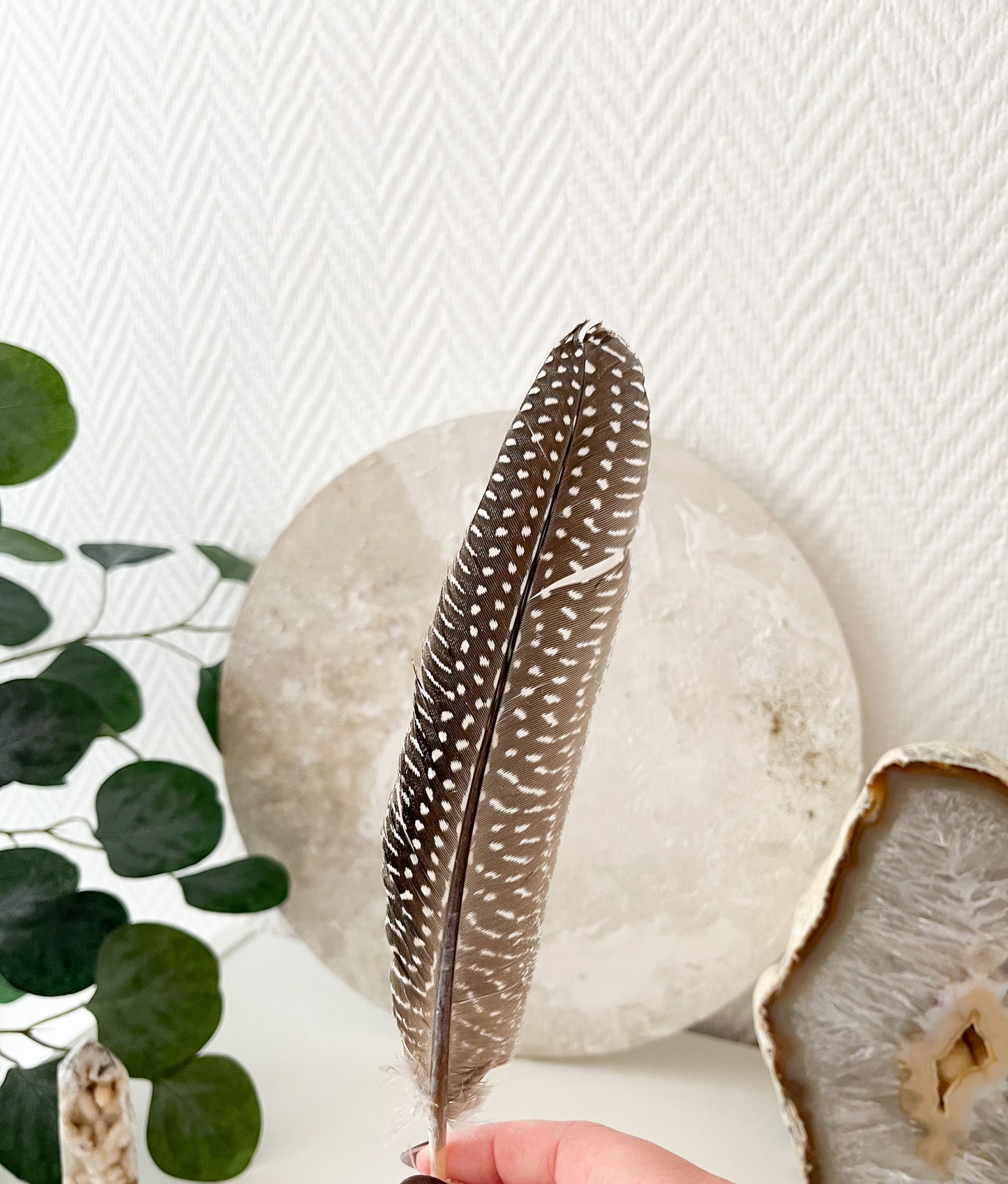 Schöne Räucherfedern 🪶🪶für dein Räucherritual ♨️, verschiedene Ausführungen