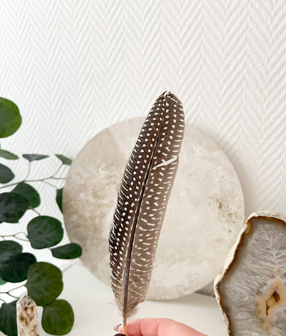 Schöne Räucherfedern 🪶🪶für dein Räucherritual ♨️, verschiedene Ausführungen