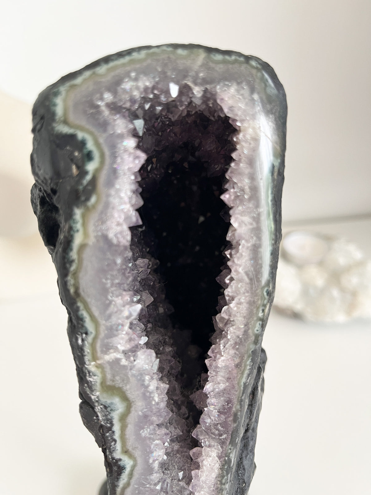 Amethyst 💜Druse auf Ständer